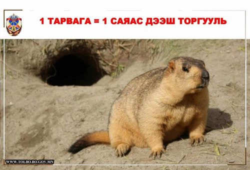 ТАРВАГА АГНАХ ЗӨВШӨӨРЛИЙГ ТҮДГЭЛЗҮҮЛЭВ